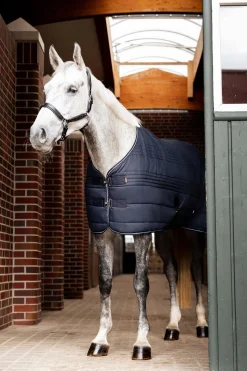 Kingsley Stalldecke, 150 g