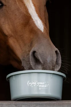 kleine Futterschale mit Deckel