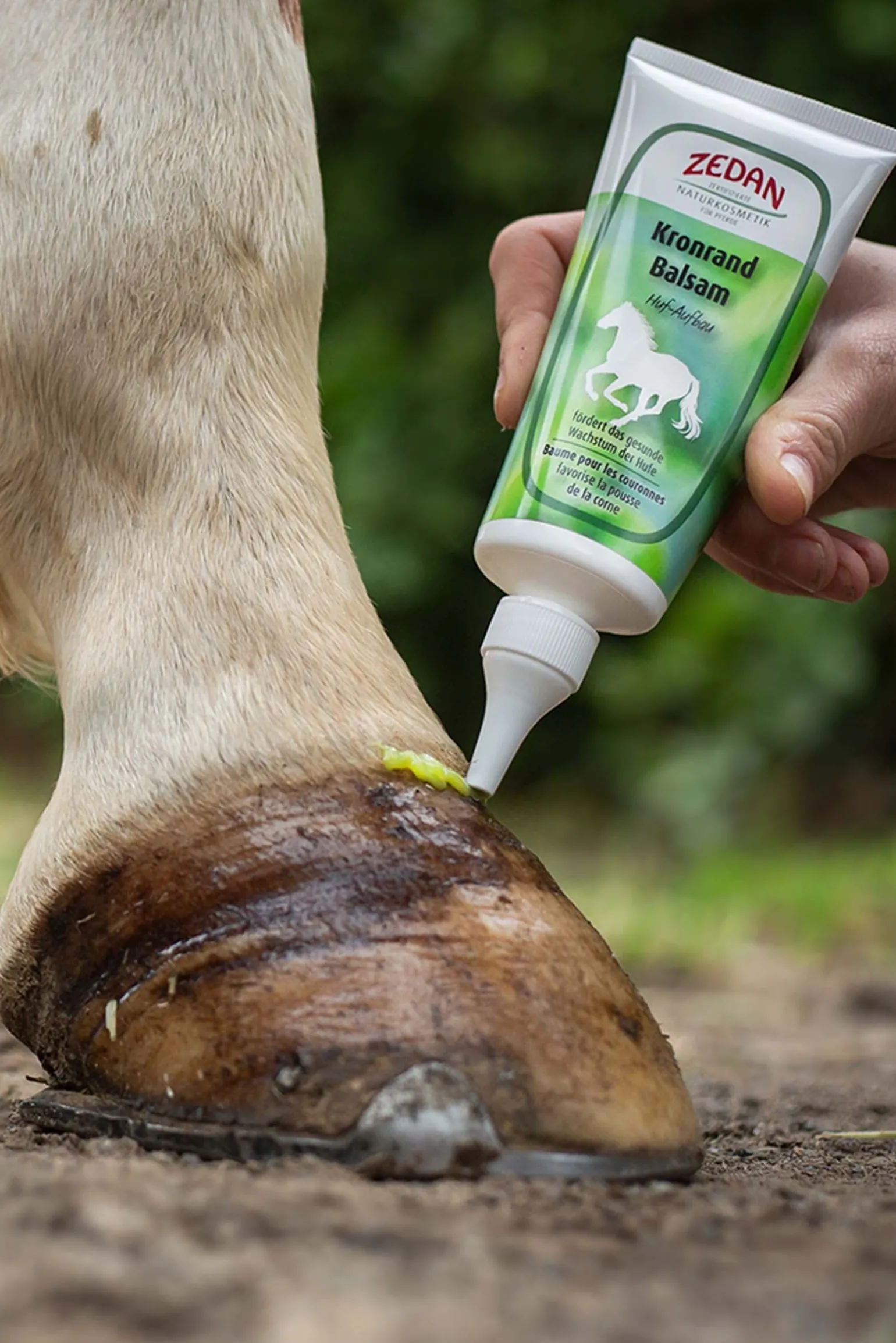 Kronrand Balsam Huf Aufbau, 100ml