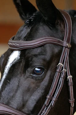 Kudos Contour anatomischer Trensenzaum mit kombiniertem Reithalfter