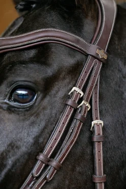 Kudos Contour anatomischer Trensenzaum mit kombiniertem Reithalfter