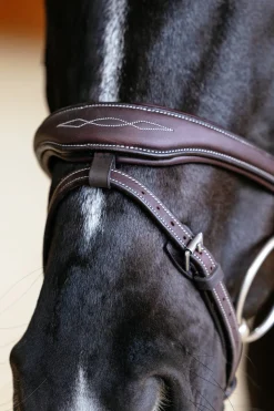 Kudos Contour anatomischer Trensenzaum mit kombiniertem Reithalfter