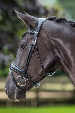 Kudos Dressurtrense aus Lackleder