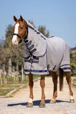 Kudos Gladiator Fliegendecke