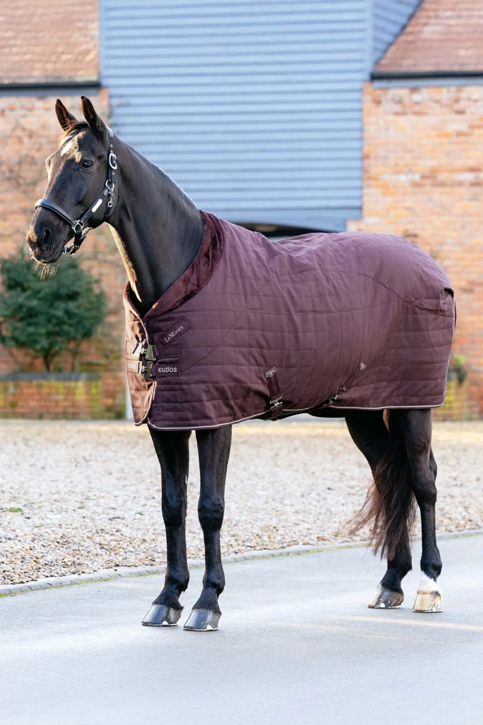 Kudos Luxe gefütterte Stalldecke, 100 g