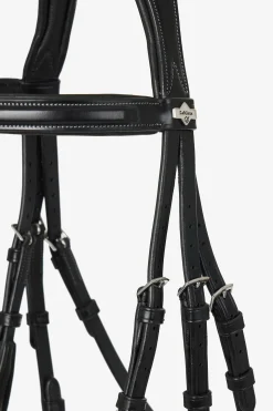 Kudos Mexikanisches Zaumzeug