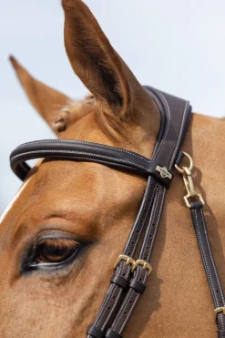 Kudos Work Trensenzaum