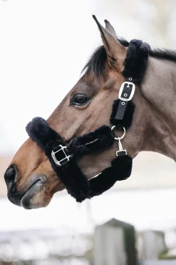 Lammfell Transport-Halfter