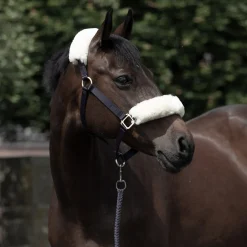 Laurier Halfter mit Lammfell