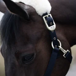 Laurier Halfter mit Lammfell