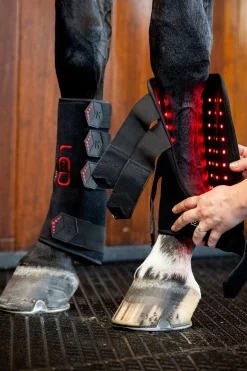 LED Rotlicht Therapie Gamasche (1 Stk.)