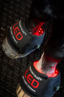 LED Rotlicht Therapie Mini-Gamasche (1 Stk.)