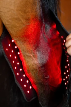 LED Rotlicht-Therapie Sprunggelenksgamasche (1 Stk.)