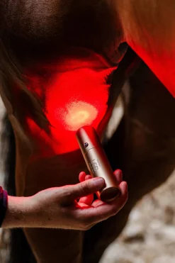 LED-Rotlicht-Therapie Stab