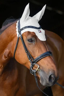 Lexington Fliegenhaube