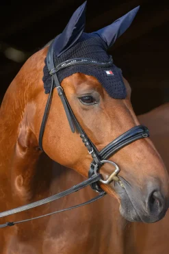 Lexington Fliegenhaube