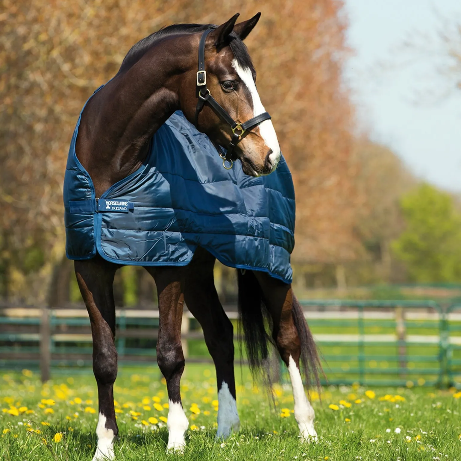 Liner Unterdecke, 300g