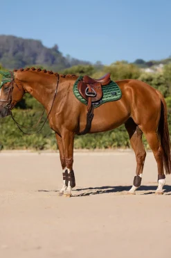 Loire Classic Square CC Springschabracke