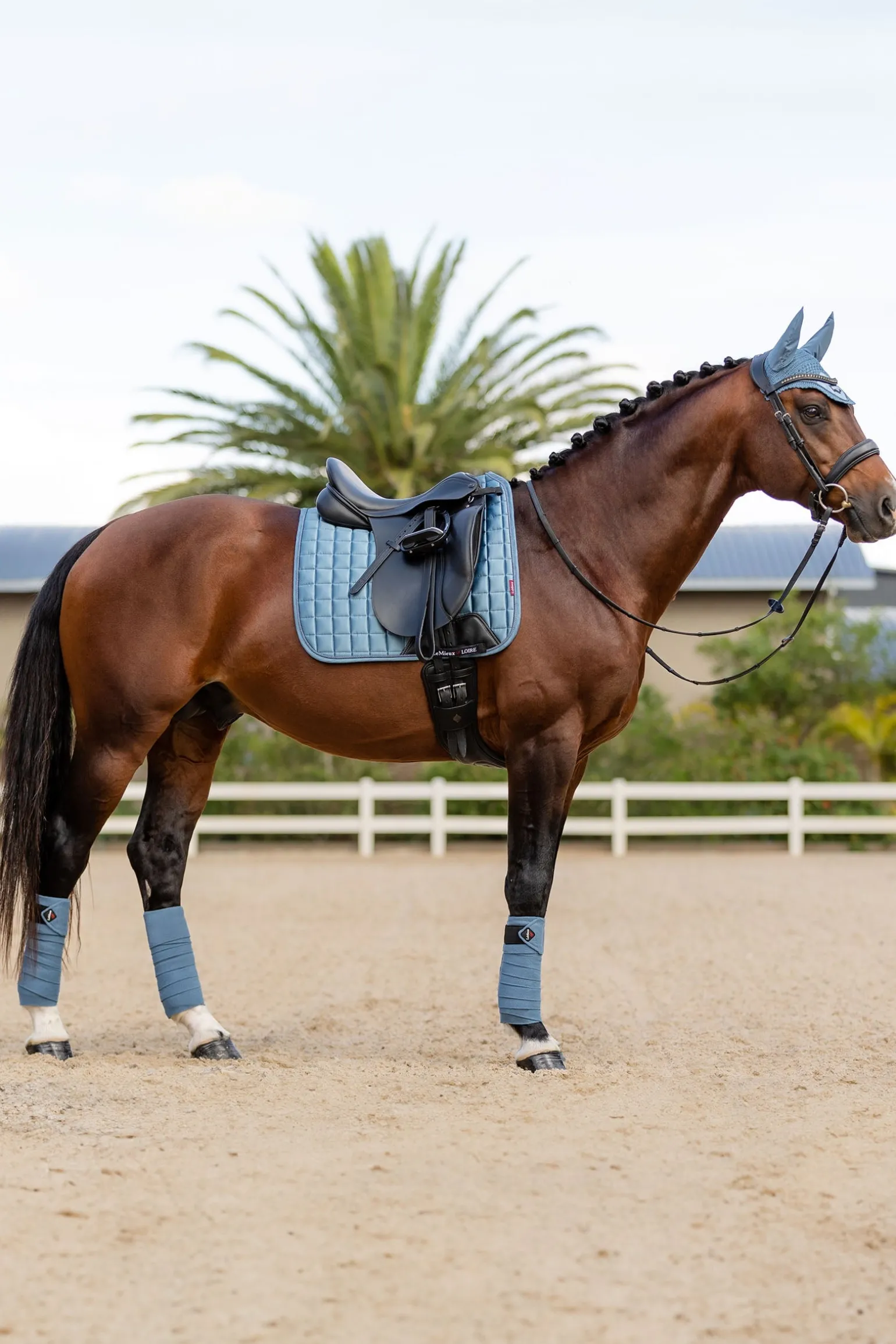 Loire Dressurschabracke