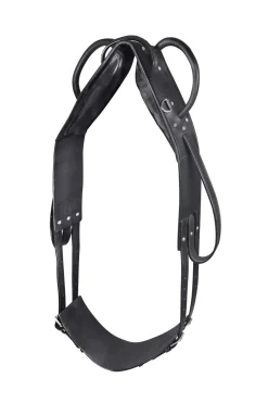 Longier- Und Voltigiergurt