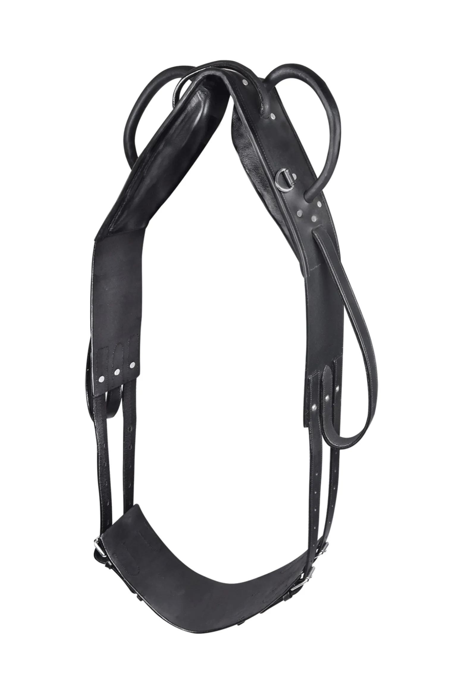 Longier- Und Voltigiergurt