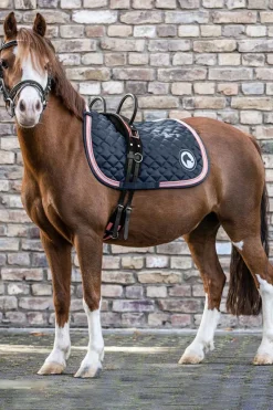 Longiergurt mit zwei Handgriffen