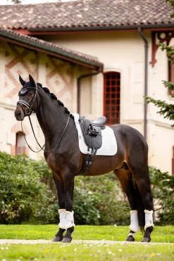 Merino+ Dressurschabracke, halb gefüttert