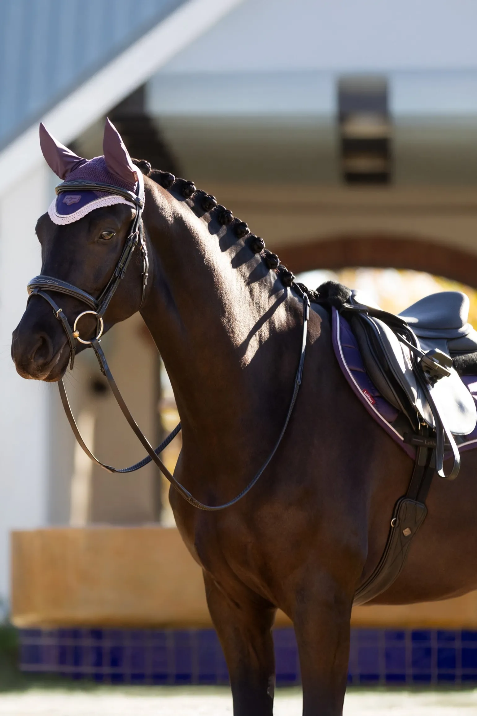 Merino+ Loire Classic Close Contact Satteldecke