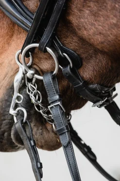 Milton Anatomische Kandare