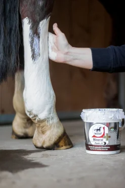 Mineral Pack mit Arnika