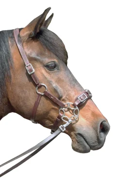 Miranti Hackamore (System 2)