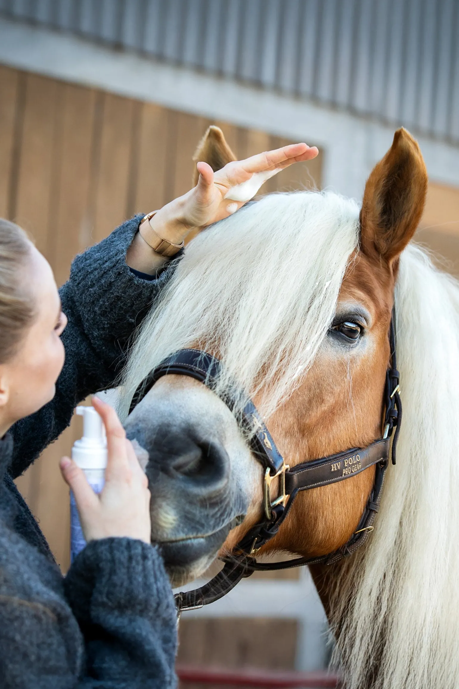 Natürlicher Mähnenschaum, 200ml