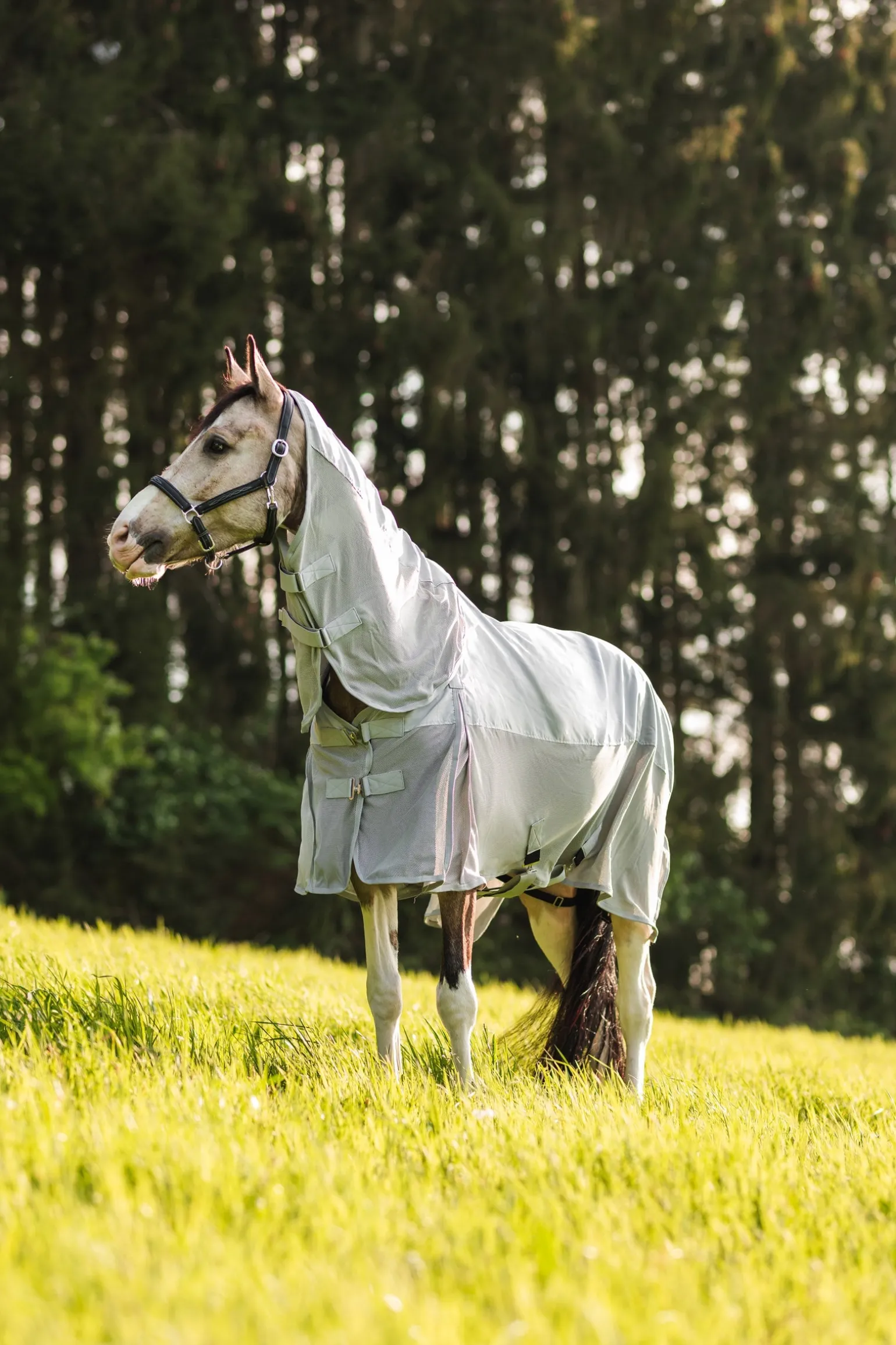 Nevada Combo Regen-/Fliegendecke mit abnehmbarem Halsteil