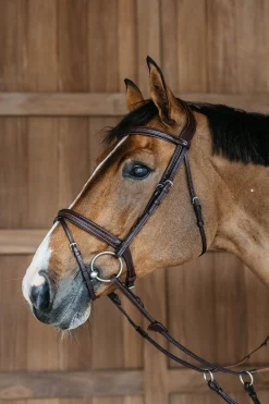 New English kombinierte Trense mit Flechtdetails