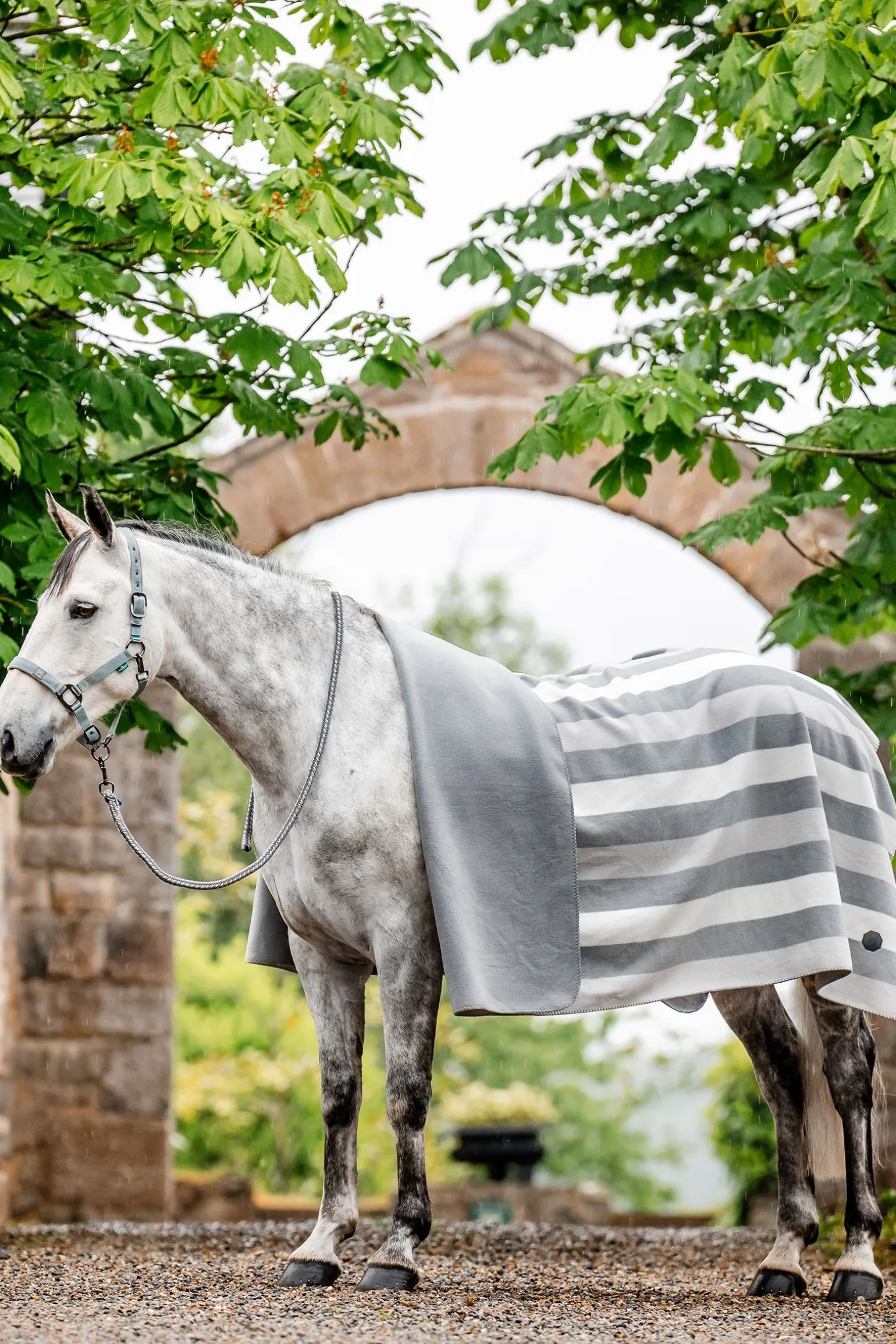 Newmarket Fleece Abschwitzdecke (Square)