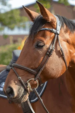 Novocontact Olivenkopfgebiss 14mm Einfach Gebrochen Sensogan Mit D-Förmigen Ringen