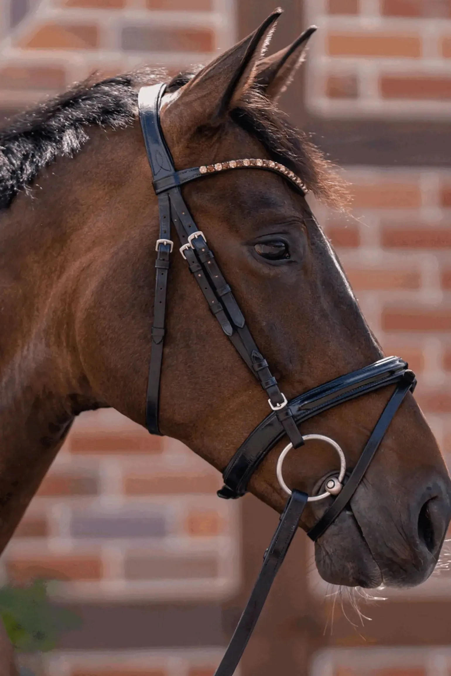 Novocontact Wassertrense 14mm einfach gebrochen Sensogan mit 70mm Edelstahlringen
