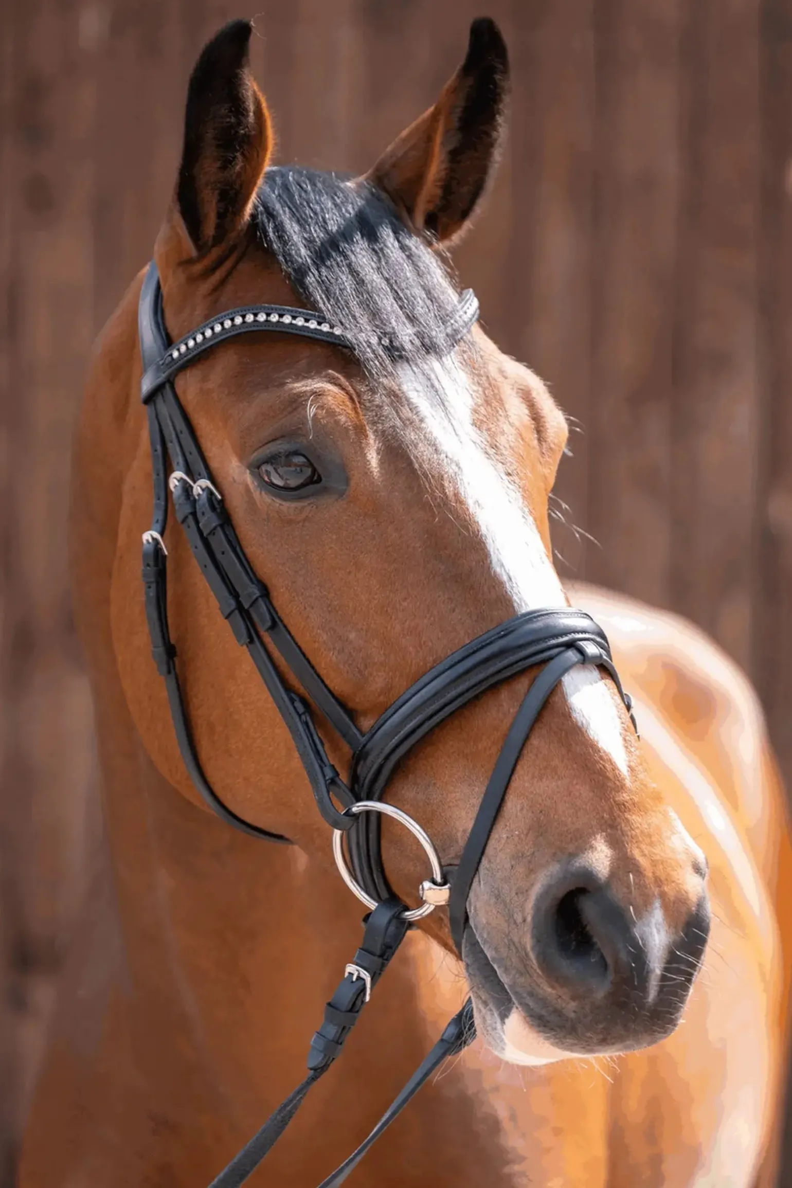 Novocontact Wassertrense 14mm einfach gebrochen Sensogan mit 70mm Edelstahlringen