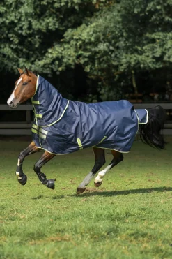 Oasis Weidedecke + Halsteil Set, 100g