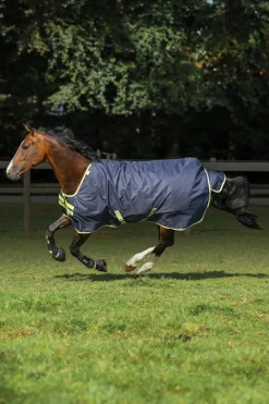 Oasis Weidedecke + Halsteil Set, 100g