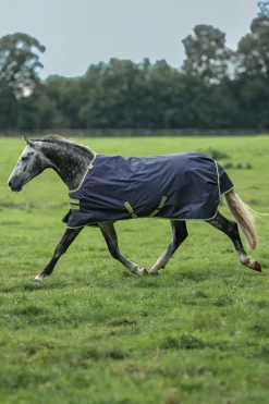 Oasis Weidedecke + Halsteil Set, 100g