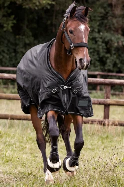 Outdoor Rug Scandic 300 g