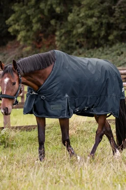 Outdoor Rug Scandic Light