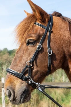 Pardoes de Luxe Sidepull mit Zügeln (System 3)