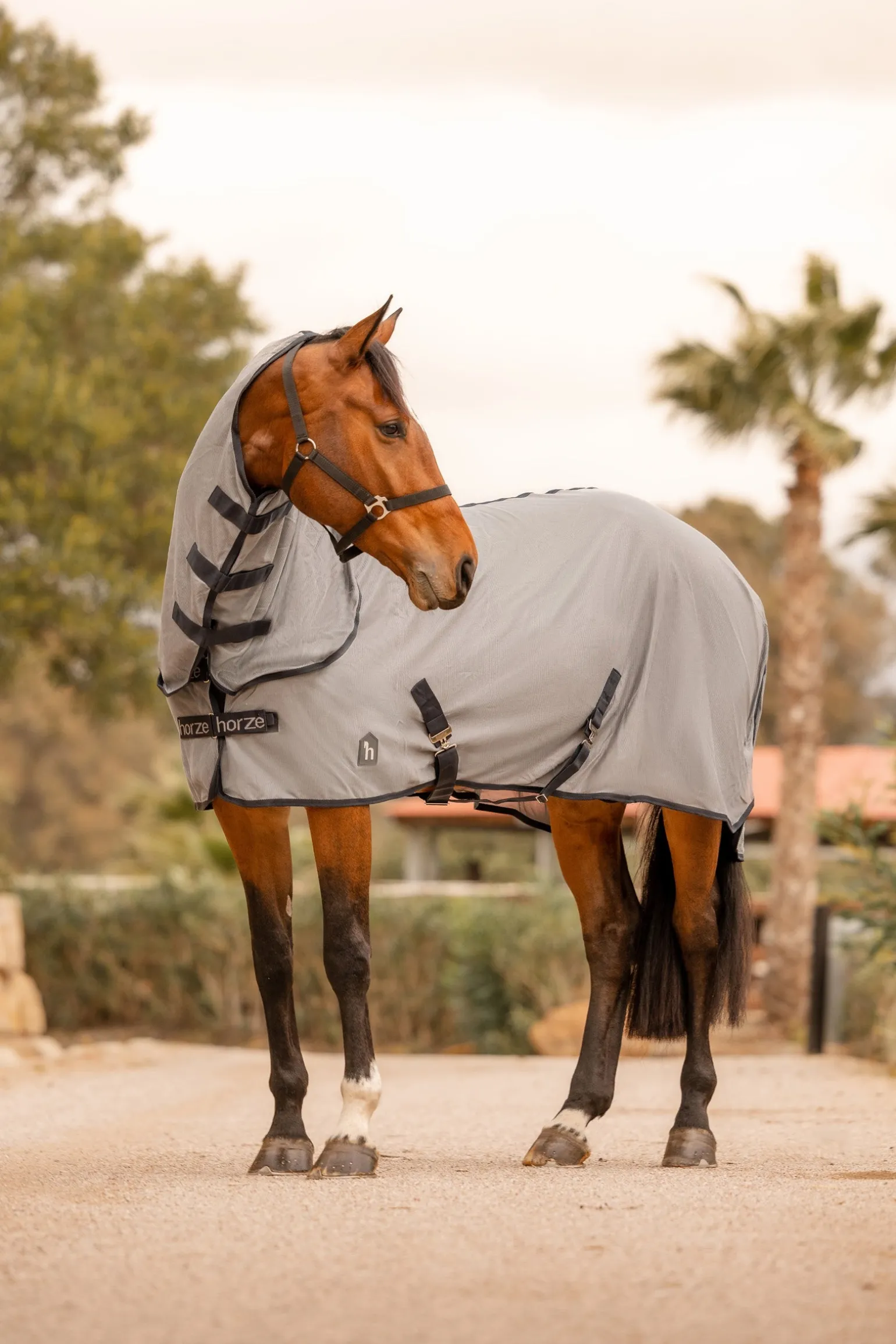 Paso Fino Fliegendecke mit abnehmbarem Halsteil und UV Schutz