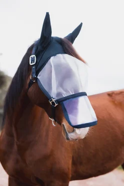 Paso Fino Halfter mit Fliegenmaske