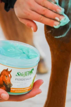Pferdesalbe