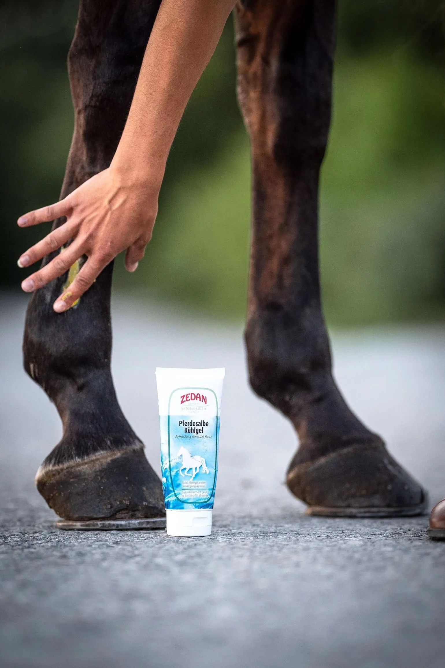 Pferdesalbe Kühlgel, 200ml