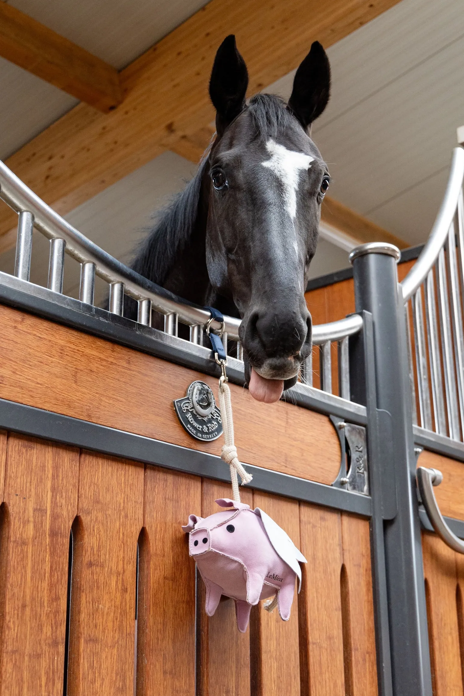 Pferdespielzeug Fliegendes Schwein