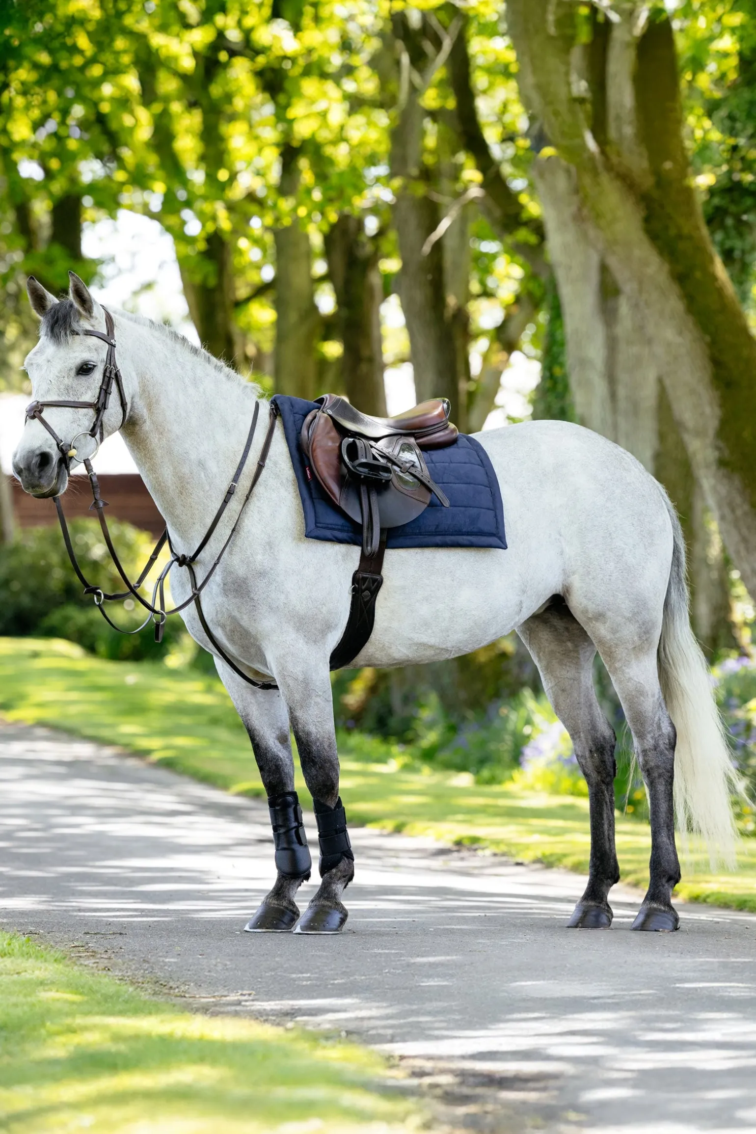 Pillow gepolsterte Vielseitigkeitsschabracke